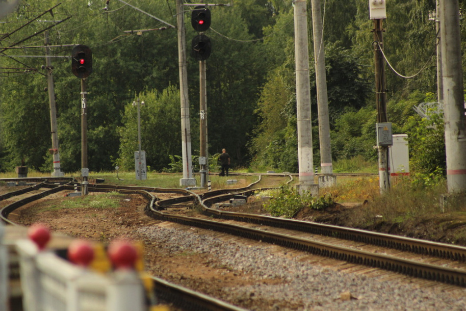 В Подмосковье девушка вытащила пенсионерку с путей перед поездом